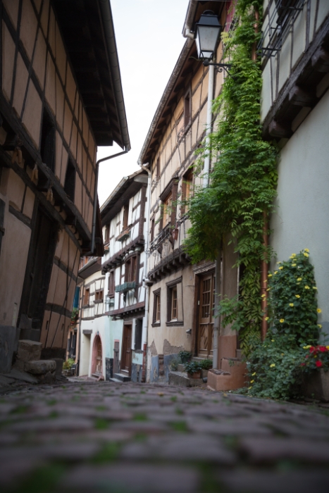 Eguisheim - 013